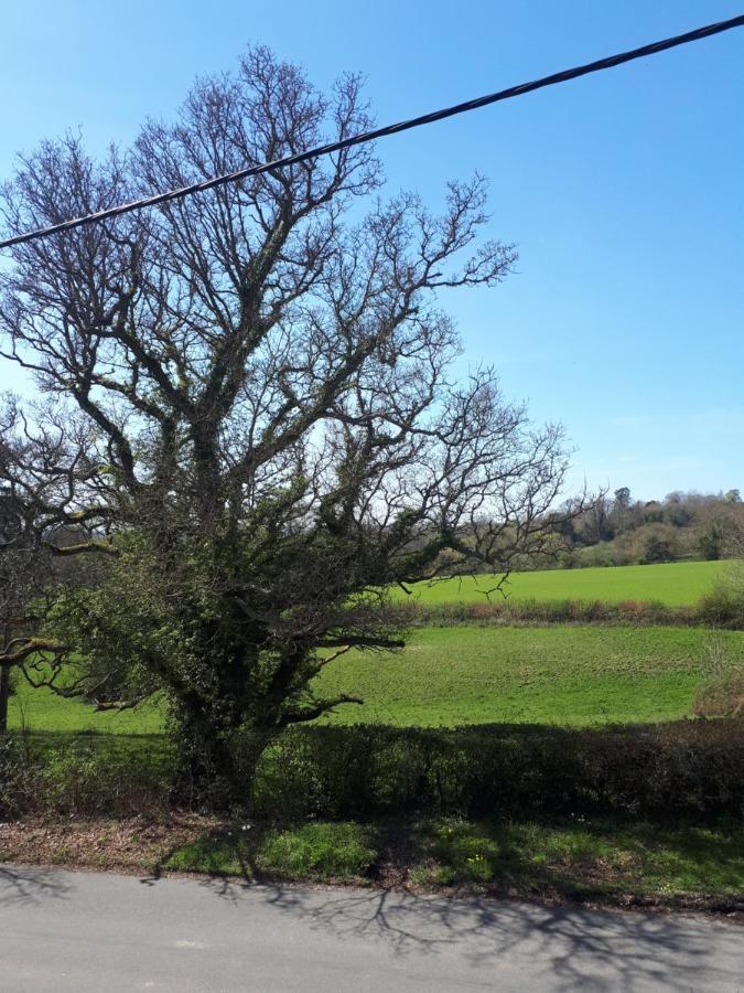 Burwash Court Barn Cottage B&B מראה חיצוני תמונה