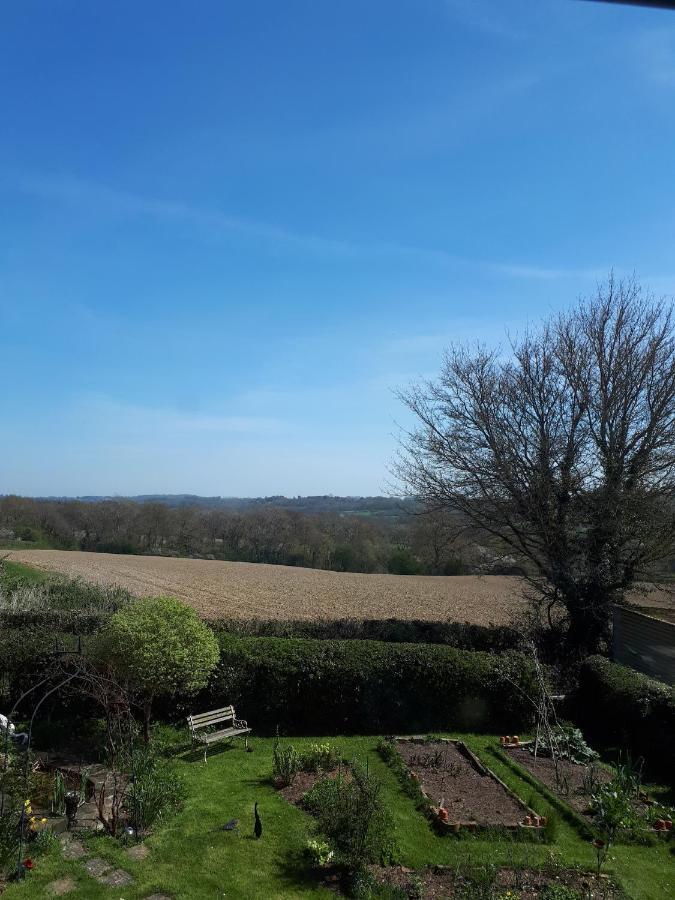 Burwash Court Barn Cottage B&B מראה חיצוני תמונה